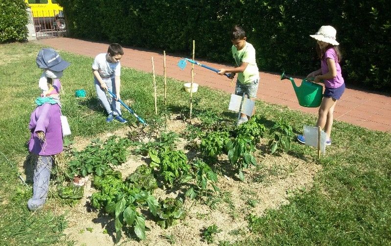 orto regione marche agricoltura biologica