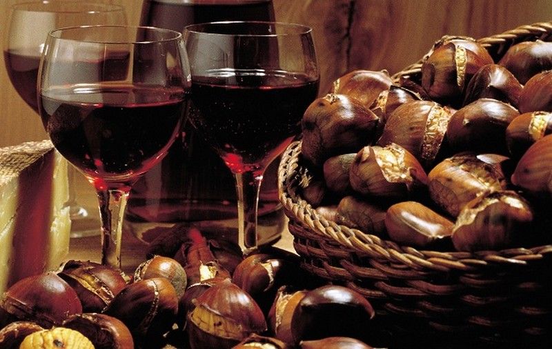 fiera san martino grottammare vino castagne