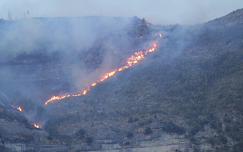 Lotta attiva agli incendi boschivi e raccomandazioni per un più efficace contrasto agli incendi boschivi