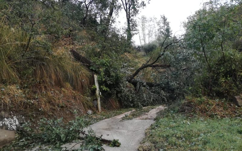 Maltempo, avviata la ricognizione dei danni nei territori colpiti. Fioravanti e Pantaloni impegnati in prima linea: “Stiamo monitorando la situazione, priorità garantire sicurezza ai cittadini”