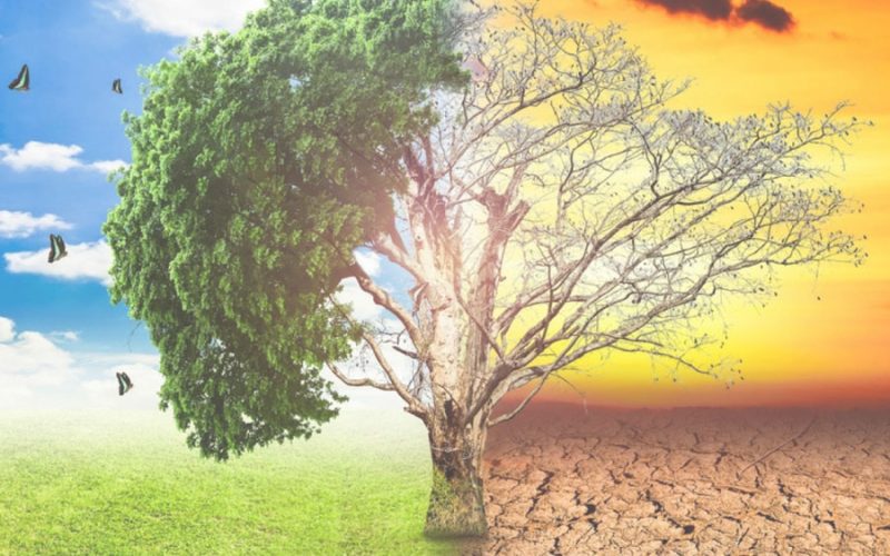 La Regione Marche ha aderito alla carta Ue per l’adattamento ai cambiamenti climatici