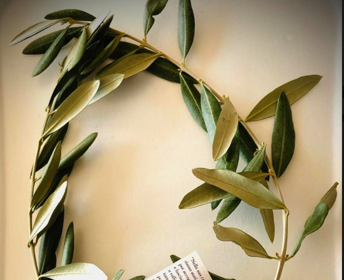 Quando Si Bruciano Le Palme Benedette Domani distribuzione delle palme benedette a tutte le famiglie di