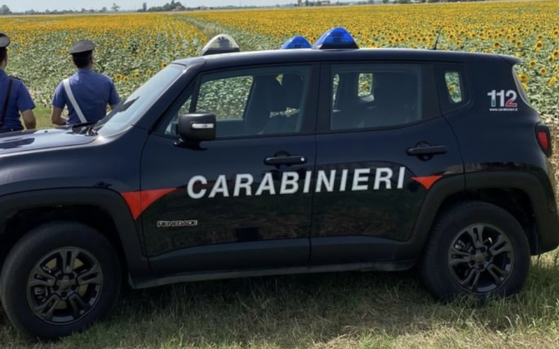 Tenta di rubare in un esercizio commerciale,  arrestato in flagranza dai Carabinieri