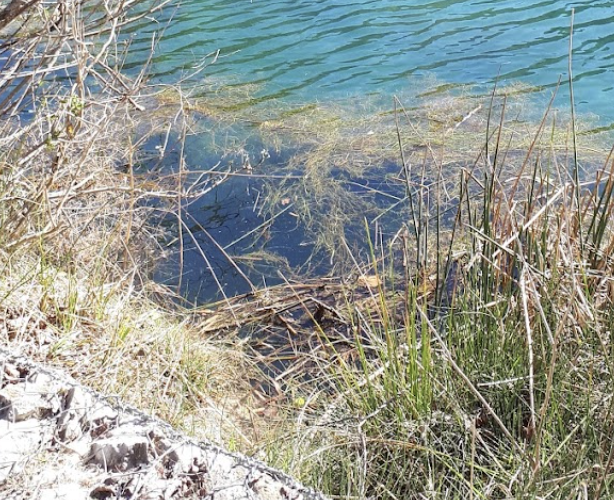 Coldiretti Marche, Giornata dell’Acqua: “Accelerare su Piano Laghetti e ammodernamento della rete idrica”