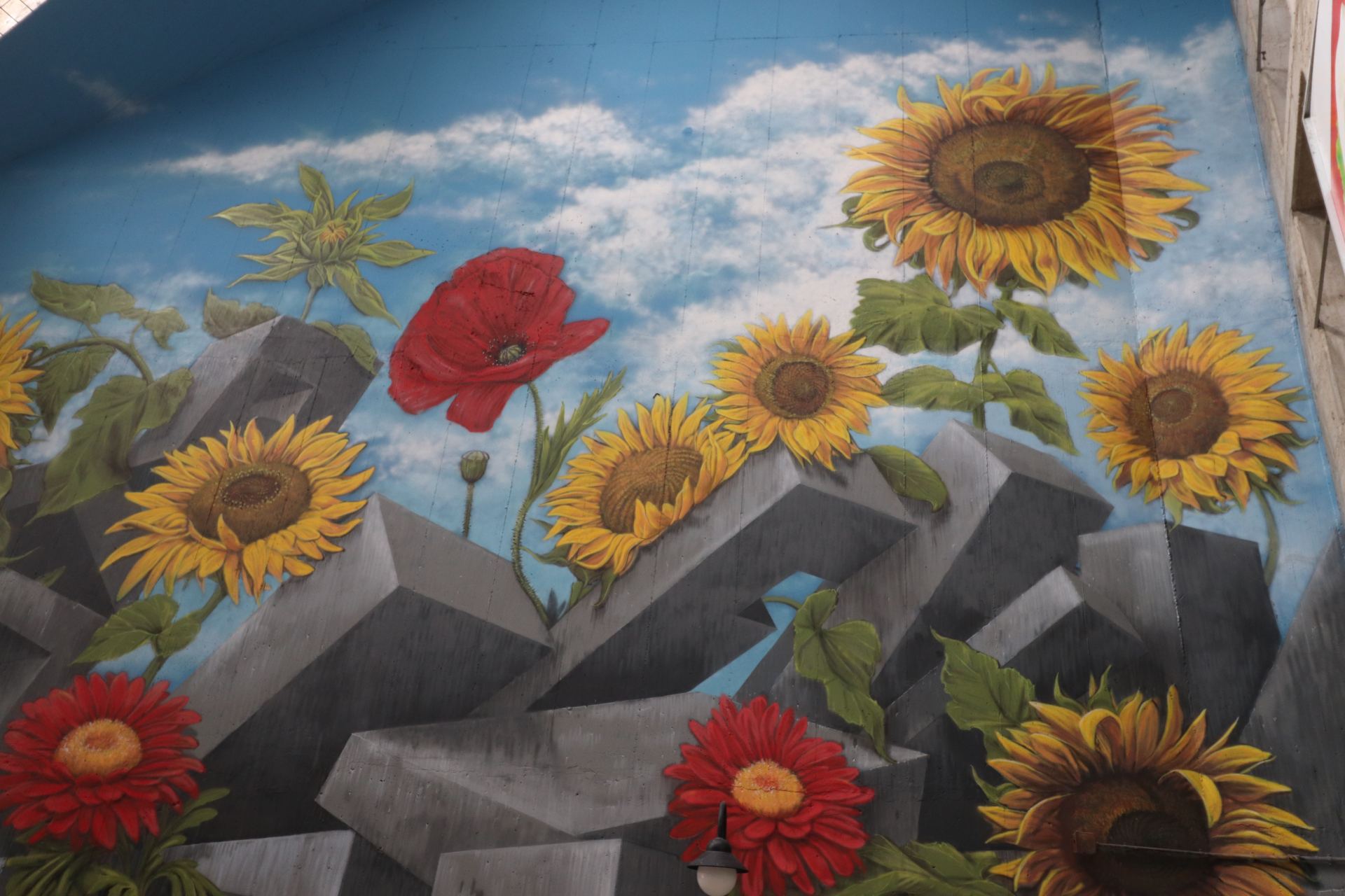 Ad Ascoli arriva “Nulla su di noi senza di noi”: inaugurato il murales ...