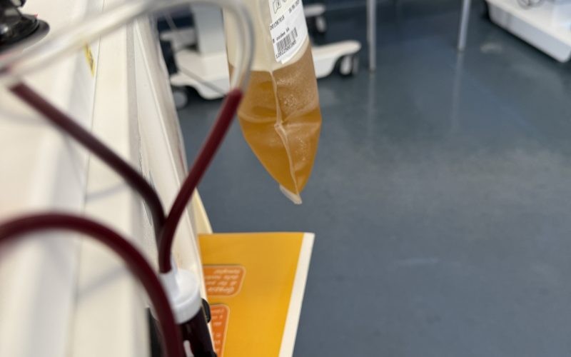 Vicenda plasma, costituita la commissione di verifica