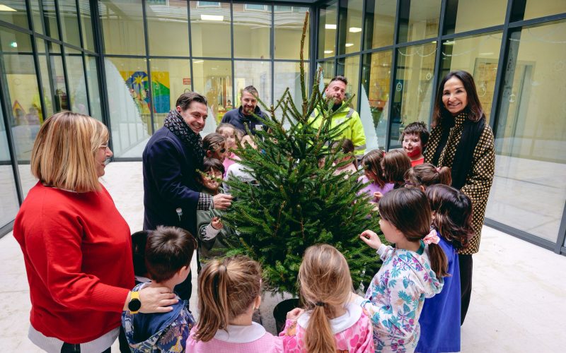 Un albero di Natale per ogni scuola di Ascoli