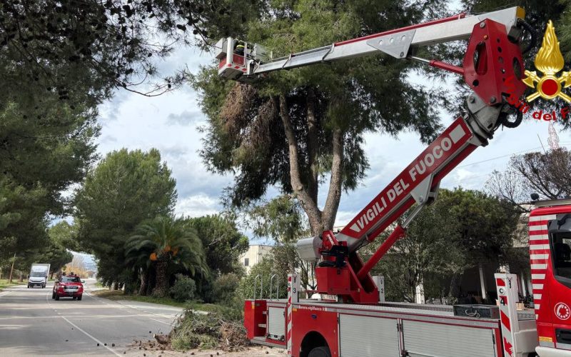 Forte vento, i Vigili del Fuoco intervengono in tutto il territorio
