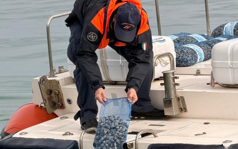 Operazione “Guscio duro”, la Guardia Costiera sequestra e restituisce al mare una tonnellata di vongole