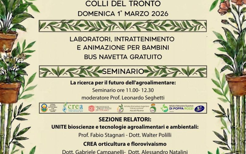 Formazione, natura e comunità alla 39° Fiera Piante Fiori Vimini e Bambù di Colli