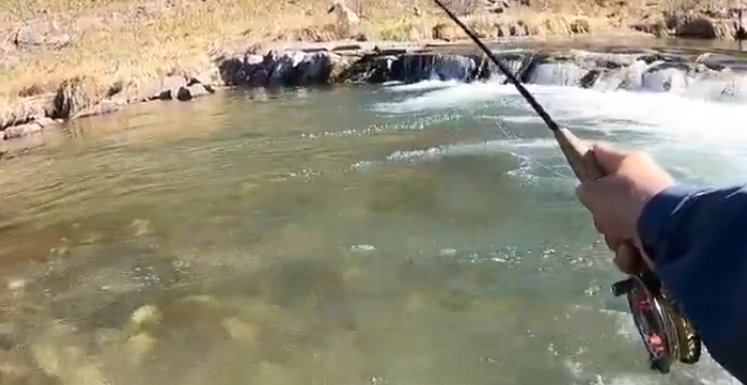 Pesca sportiva: domenica 22 febbraio al via la stagione della trota nelle Marche