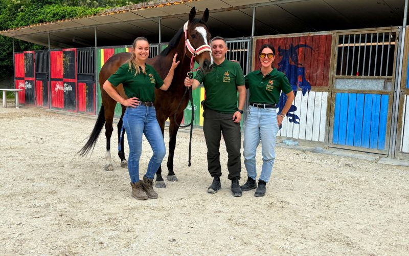 Quintana 2026, Cavalli Idonei e prove al Campo dei Giochi