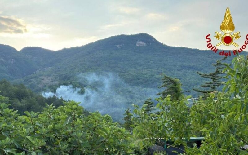 Incendio nella vegetazione ad Ascoli, in azione anche un elicottero