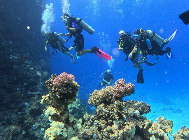 Al via il corso subacqueo di primo livello Open water diver