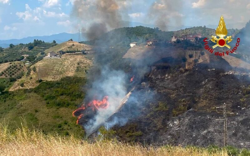 Incendio tra Poggio di Bretta e Vallesenzana, Vigili del fuoco in azione