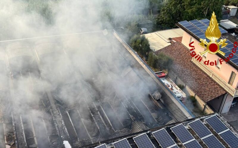 Incendio in una ditta in zona Bonifica