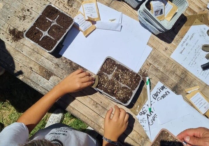 San Benedetto, al centro diurno &ldquo;Biancazzurro&rdquo; l&rsquo;orto diventa spazio di inclusione e socialit&agrave;. Ecco il valido progetto per un&rsquo;esperienza educativa