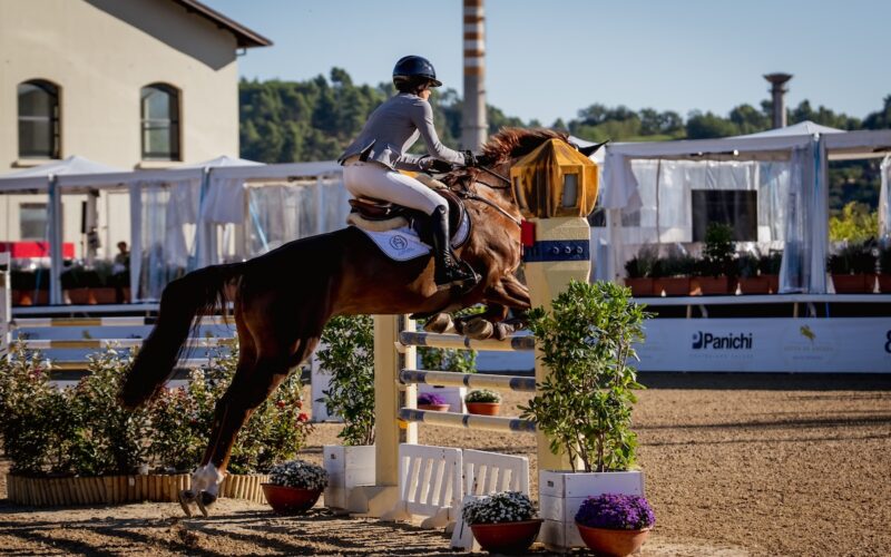 Concorso Ippico Città di Ascoli : boom di presenze nel weekend