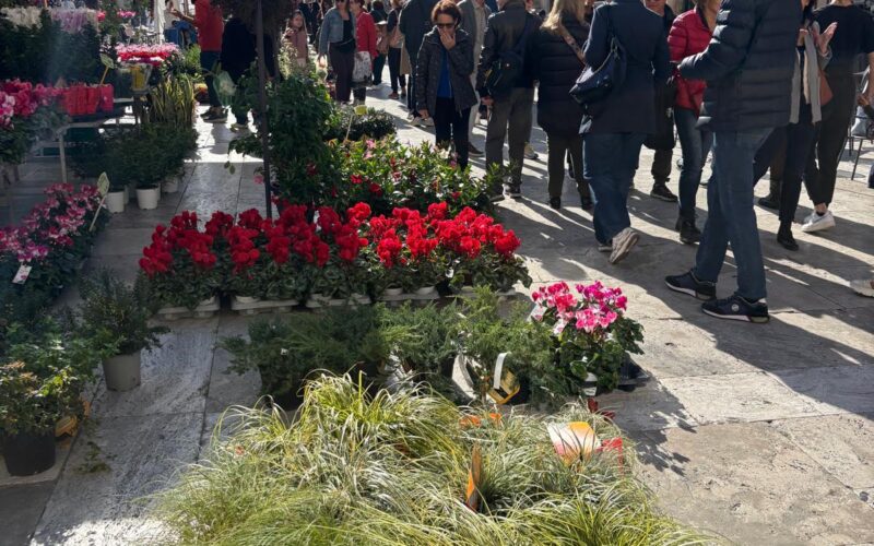 Torna &ldquo;La citt&agrave; in fiore&rdquo;, appuntamento nel weekend in Corso Trento e Trieste