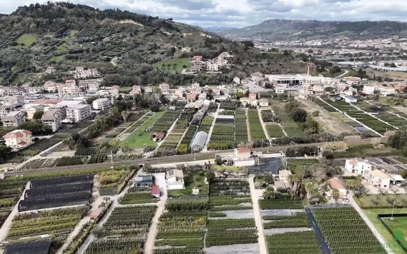 Grottammare, arriva &lsquo;Camminare, conoscere, crescere&rsquo;: l&rsquo;associazione Altro Orizzonte porta cittadini e famiglie alla scoperta dei vivai