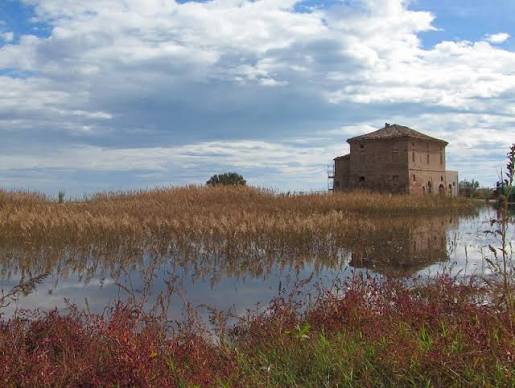San Benedetto tra ambiente e cultura: 112mila euro per la Sentina e due giornate per il Gabbiano Jonathan